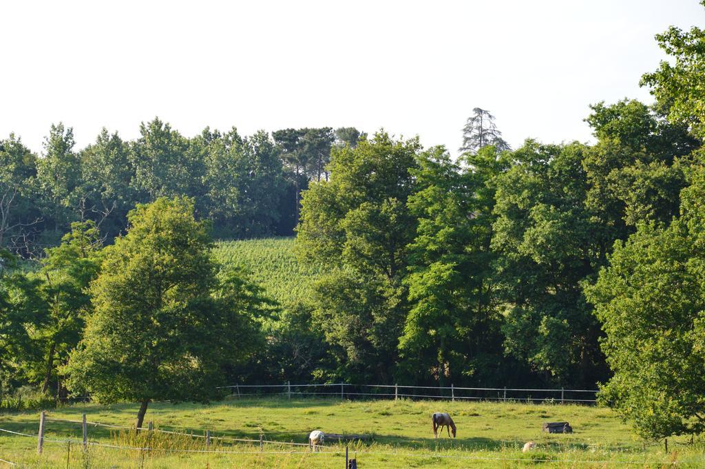 Cravencères Relais Du Haget Bed & Breakfast エクステリア 写真